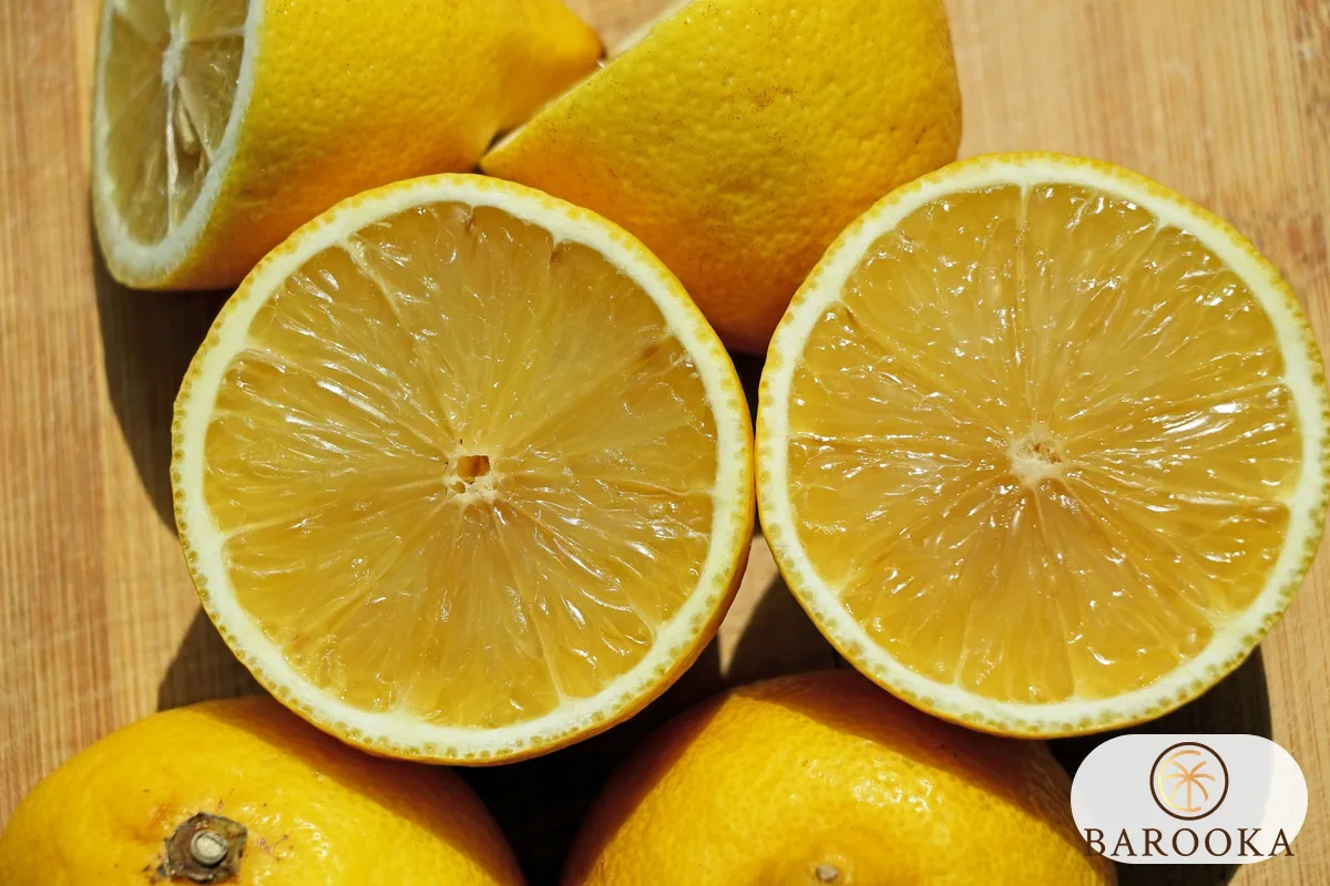 Modal Reseller Sari Lemon: Simulasi Sederhana